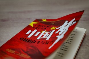 70年 您是我们心中永远的七色光